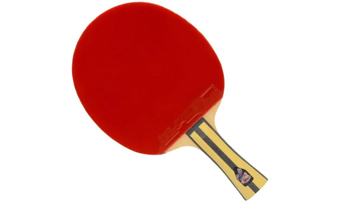 DHS 4002 Masa Tenisi Raketi