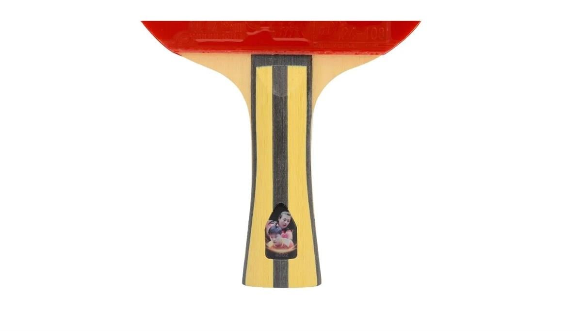 DHS 4002 Masa Tenisi Raketi