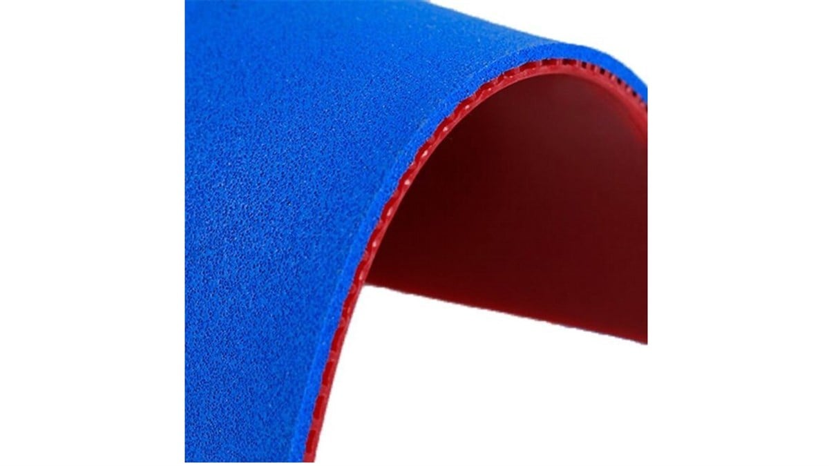 Donic Bluestorm Big Slam