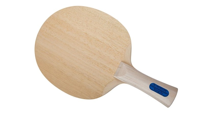 Dr. Neubauer Kung Fu