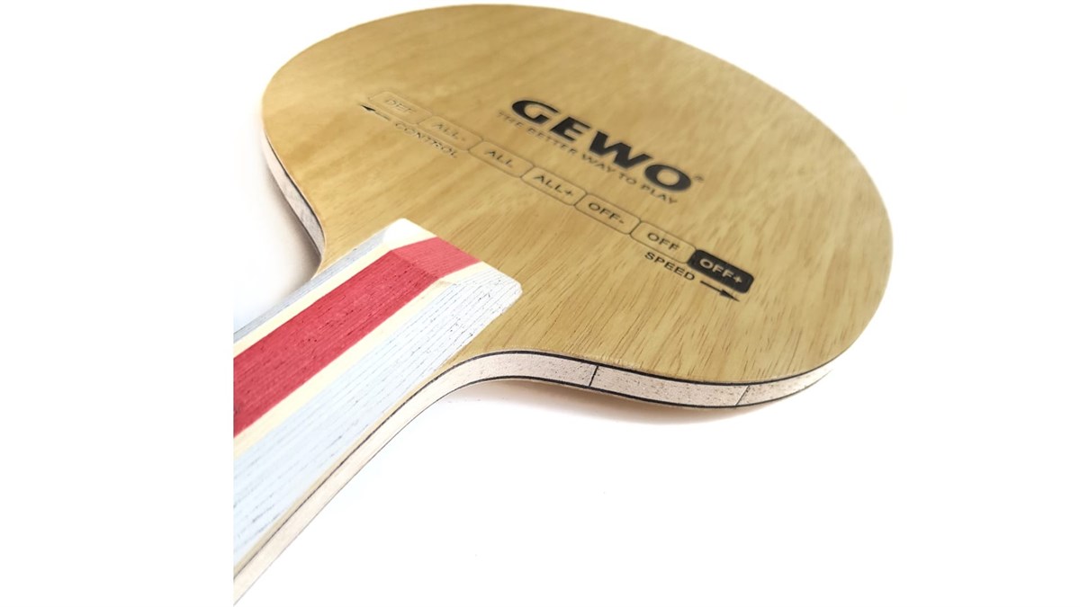 Gewo Hybrid Carbon X Speed