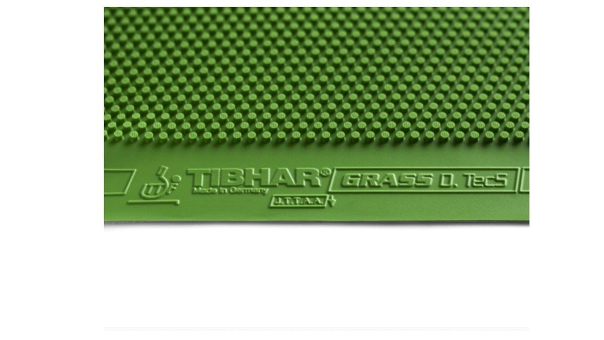 Tibhar Grass D-Tecs GS