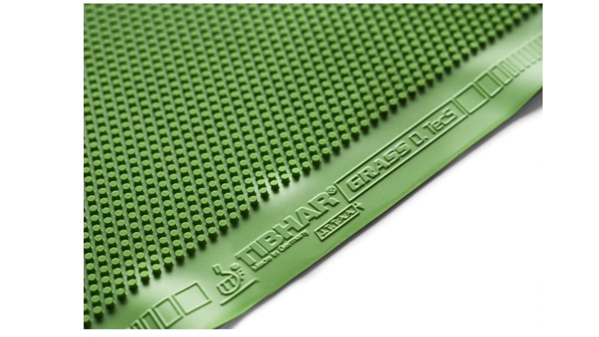 Tibhar Grass D-Tecs GS