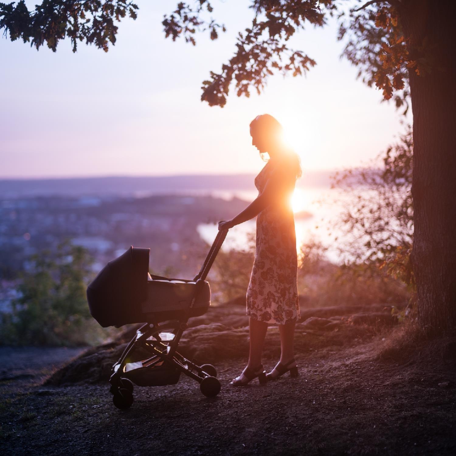 Bumprider Connect 3 Port Bebe / Grey