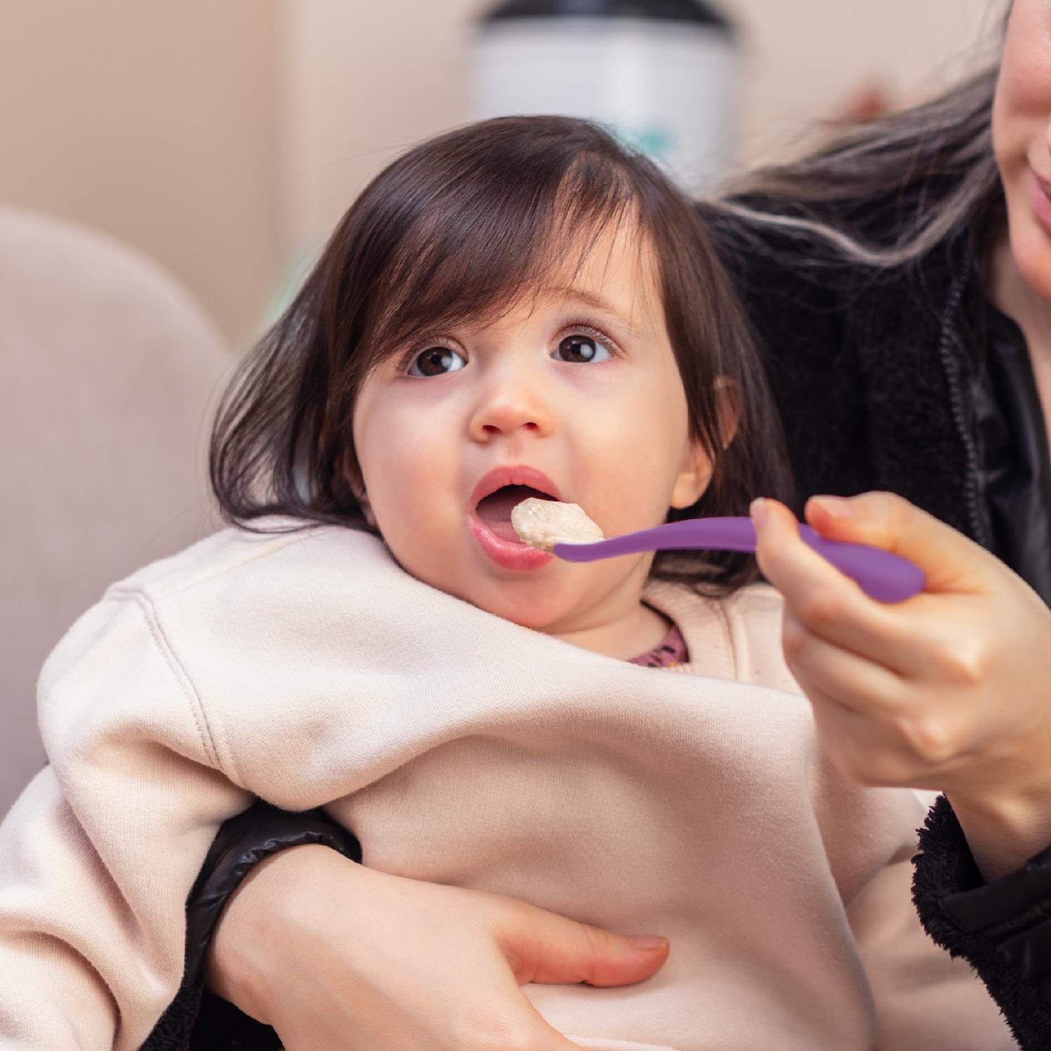 Mamajoo Beslenme Kaşığı, Mor, İkili | Ergonomik Tasarım, Hijyenik Saklama Kutulu