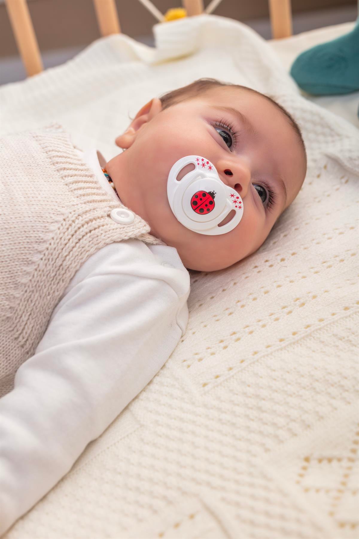 Mamajoo Tekli Desenli Emzik & Renkli Saklama Kutusu 6 ay+/ Uğur Böceği