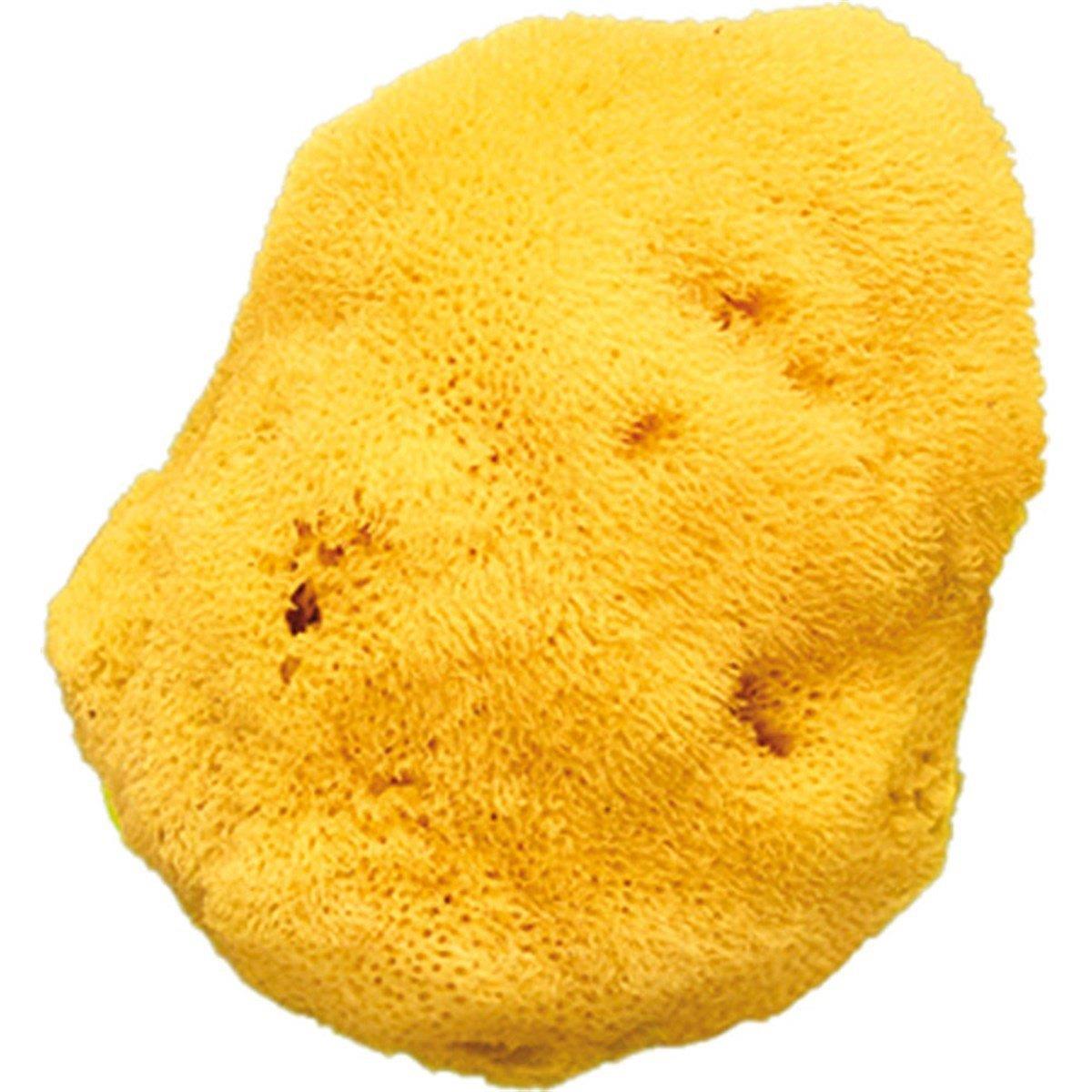 OKBaby Doğal Banyo Süngeri No:14 Büyük İnce Dokulu