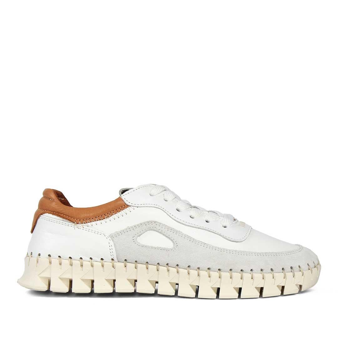 Celal Gültekin Kadın Beyaz Bağcıklı Kalın Tabanlı Süet Deri Sneaker