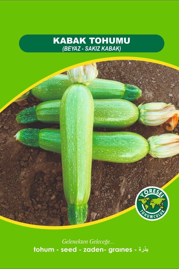 01 Sebze Tohum Seti | SEBZE TOHUMLARI