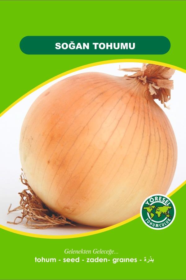 01 Sebze Tohum Seti | SEBZE TOHUMLARI