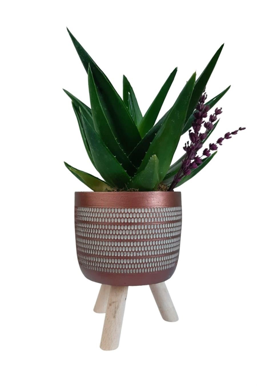 Bakır Ayaklı Saksıda Aloe Brevifolia | Tasarım Çiçekler