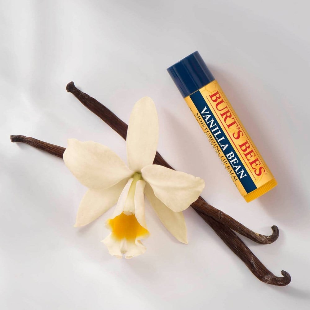 Burt's Bees Lip Balm Vanilya Özlü 4.25 g