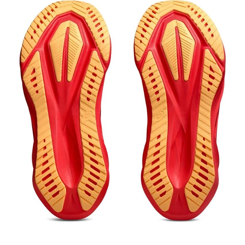 Asics Novablast 5 Kadın Koşu Ayakkabısı