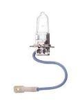 H3 12V 55W AMPUL