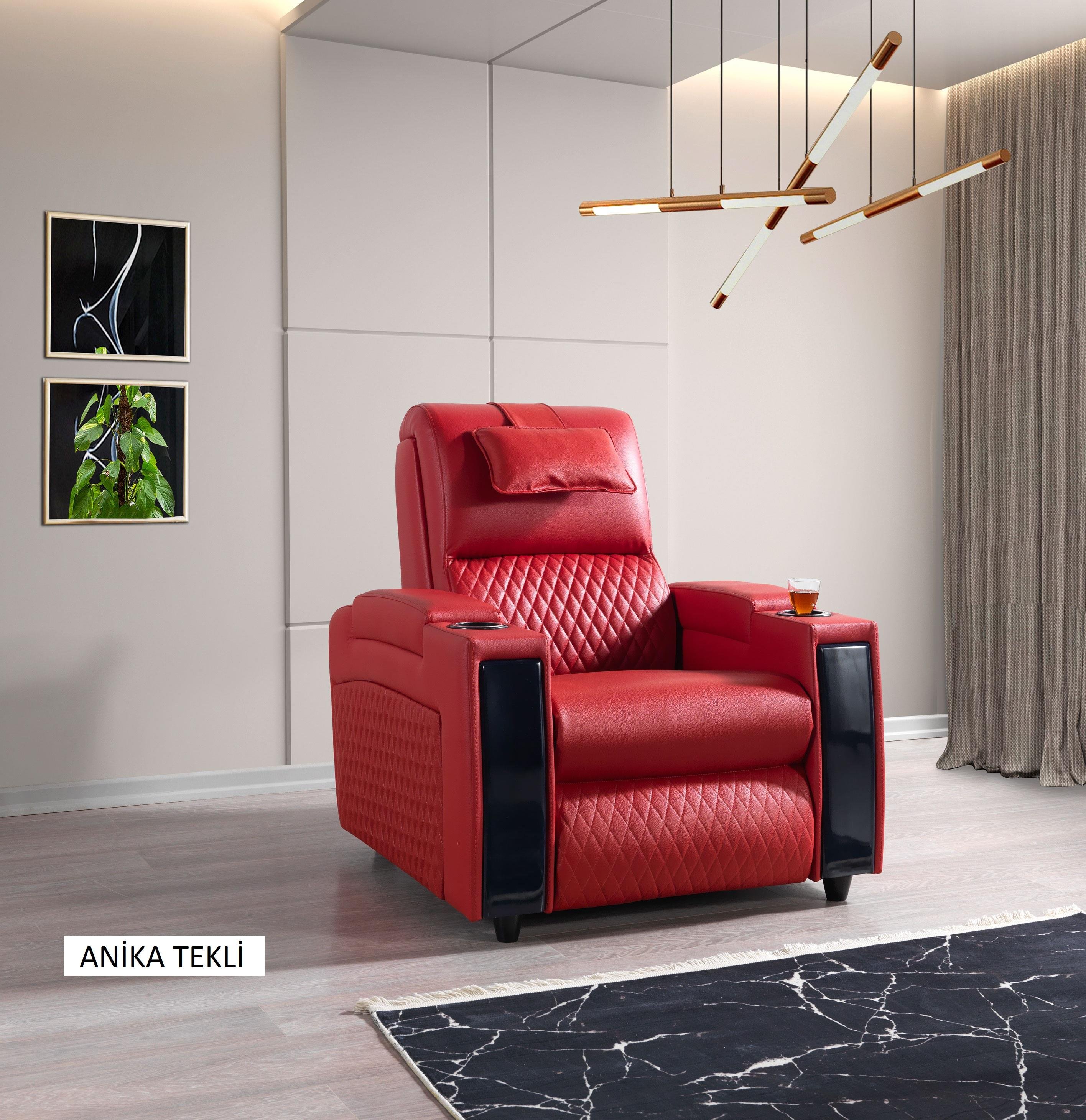 Anika Vip Baba Koltuğu