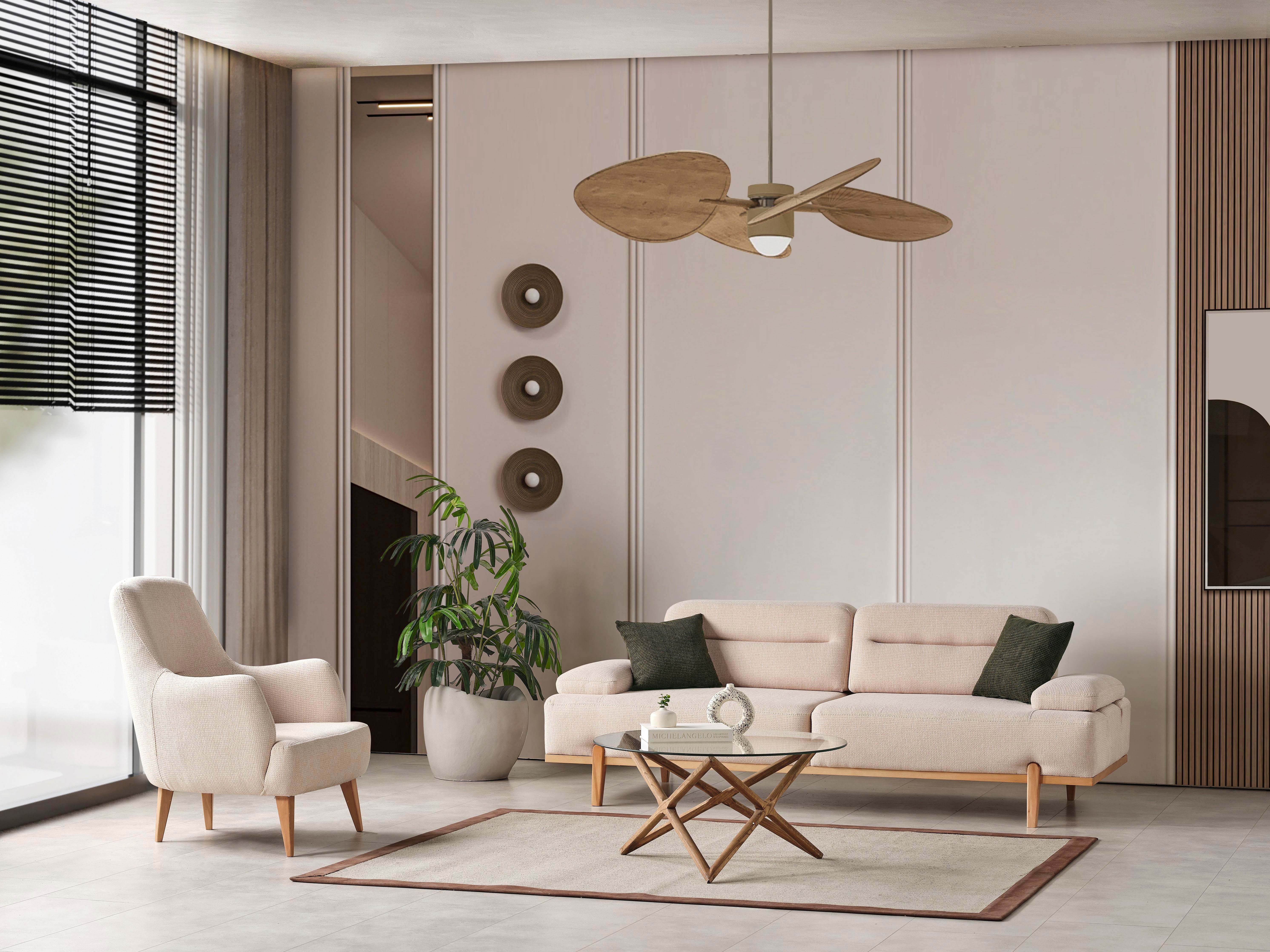 Dekorbizden Zara Koltuk Takımı