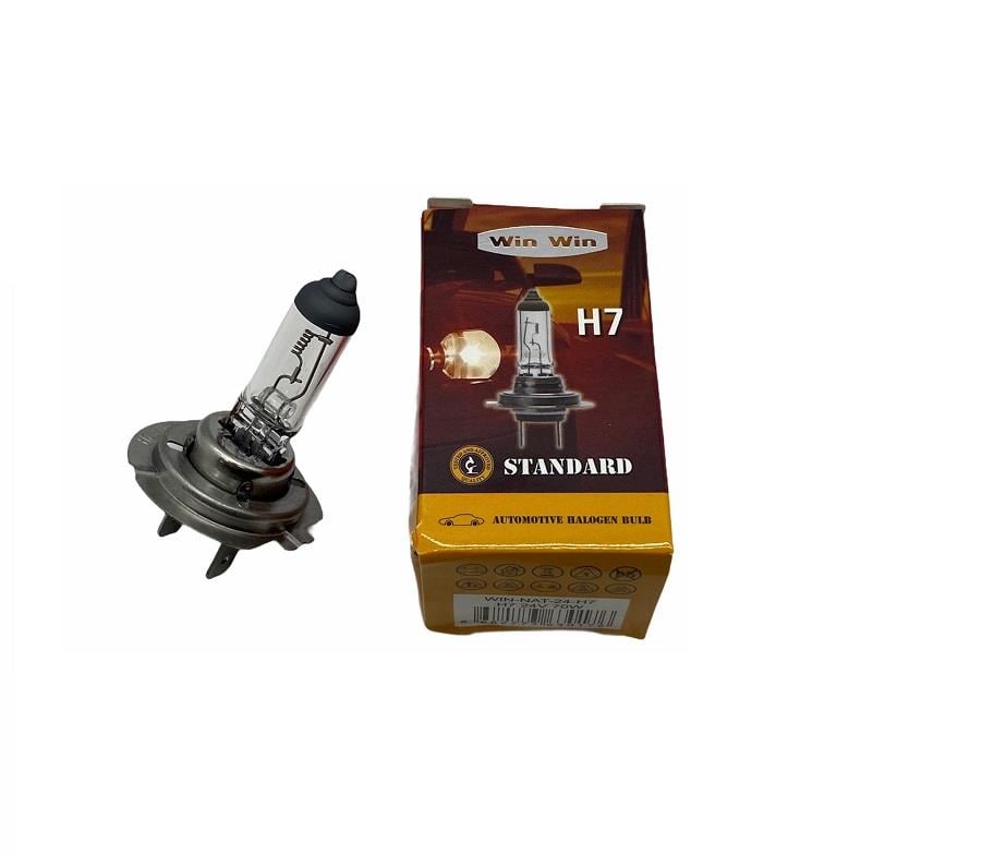 24V H7 AMPUL 70W