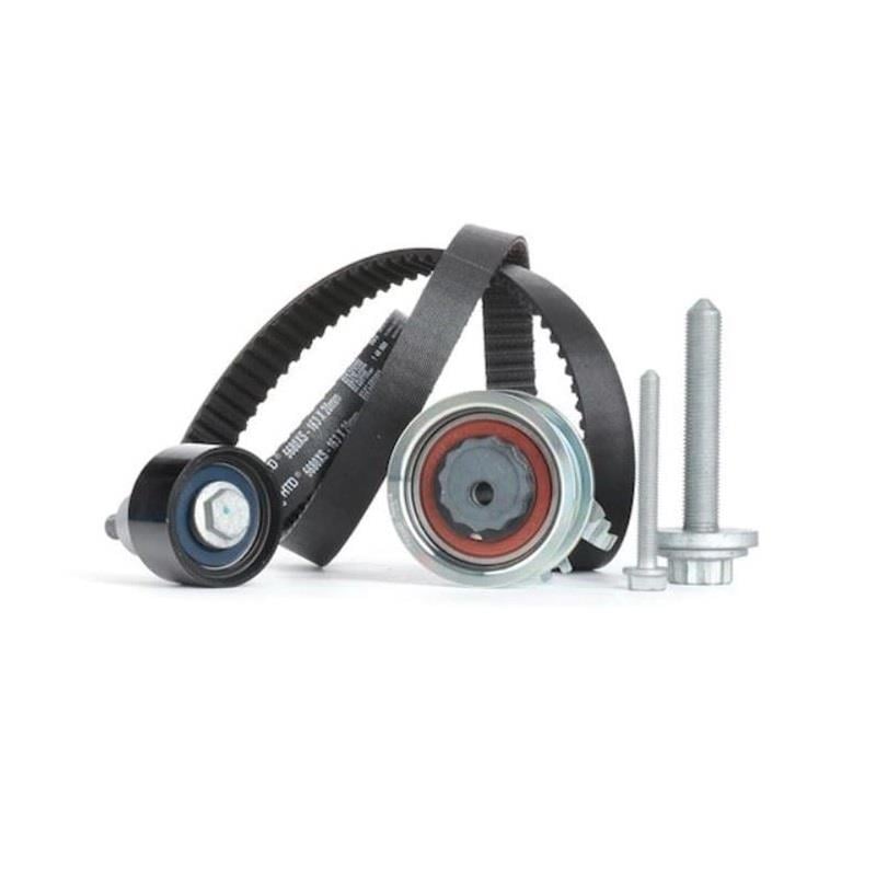 INA EKSANTRİK RULMAN SETİ (TRİGER) AUDI-SEAT-SKODA-VW