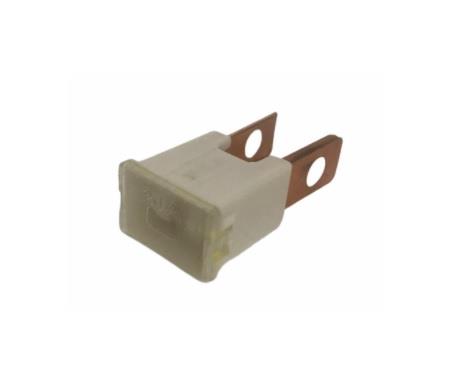 AYAKLI SİGORTA 20 A (45*22 MM)