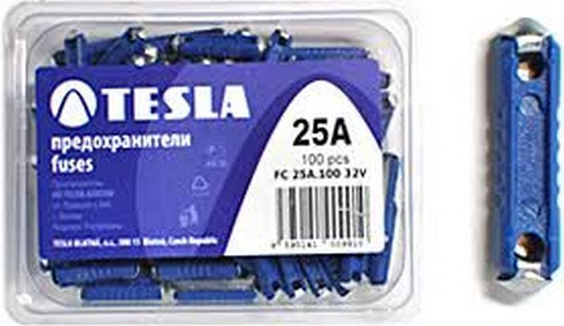 TESLA TAŞ SİGORTA 25 A MAVİ (6*25 MM)