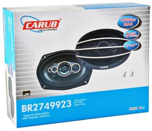 CARUB OVAL HOPARLÖR 1000W 6'' X 9'' (KAPAKLI) (2 AD)