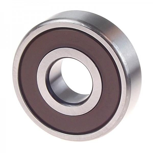 NACHI 6006 2RS RULMAN