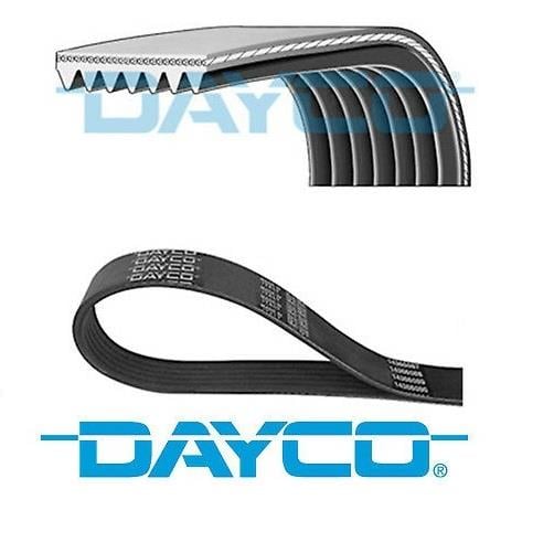 DAYCO V KAYIŞI 6 PK 1200