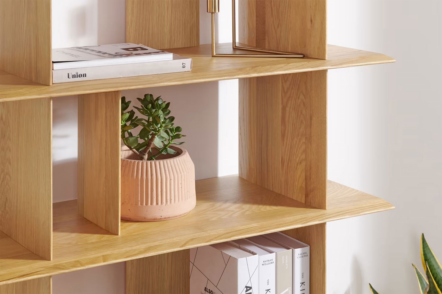 Uzun Kitaplık Rmn 9309, Meşe Ağacı