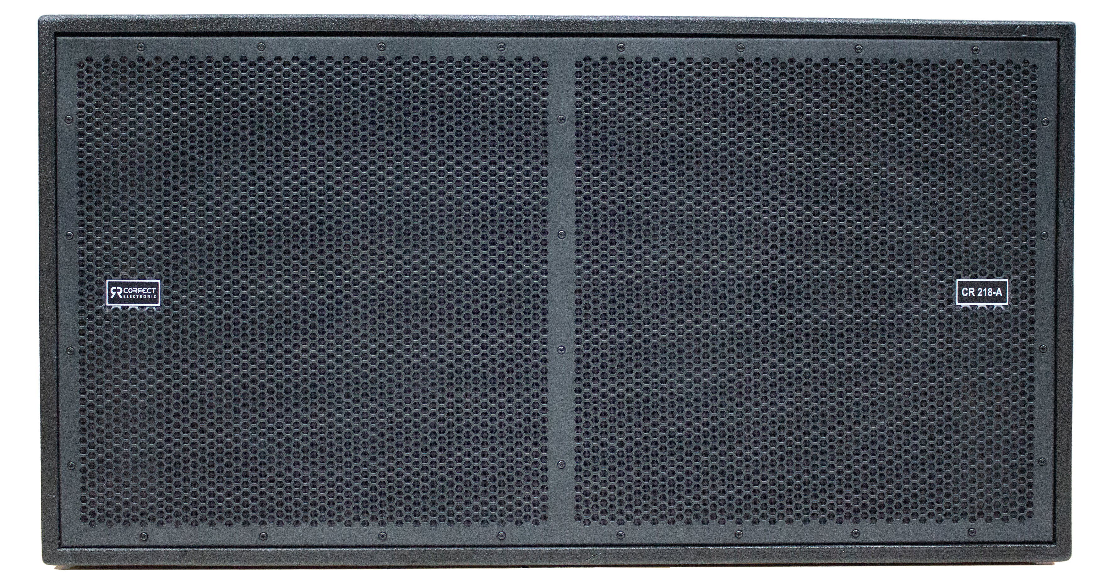 CORRECT ELECTRONIC CR 218-A Active Subwoofer