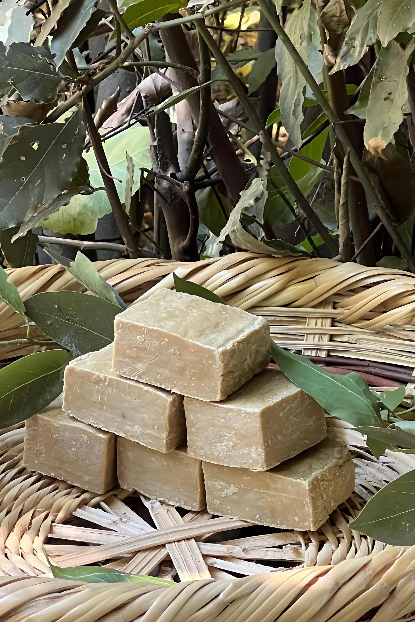 Hakiki Defne Sabunu (1 Kg)  Hakiki Defne Sabunu (1 Kg)  DEFNE SABUNU Bahtiyar İpek Bahtiyar İpek Defne Sabunu