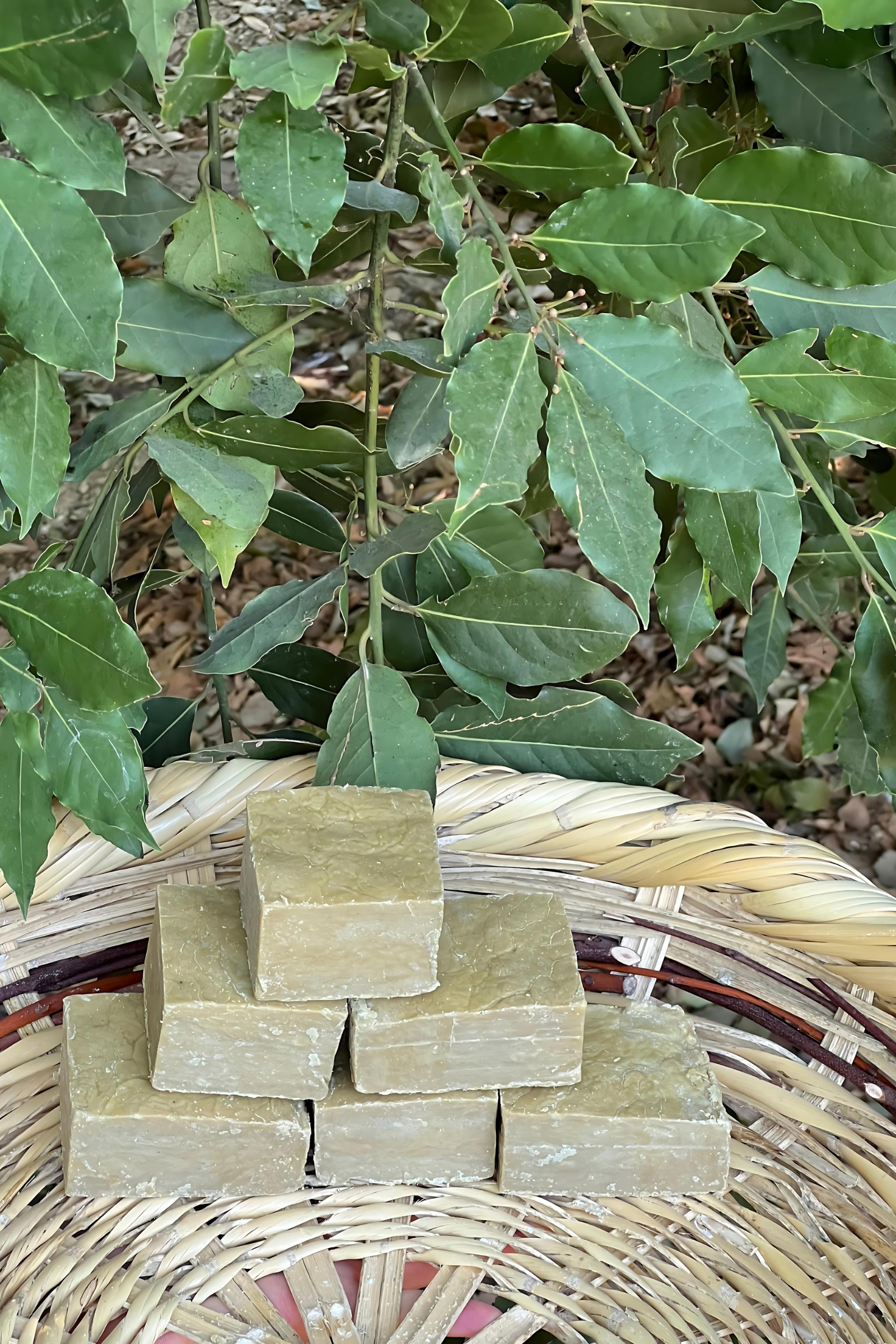Hakiki Defne Sabunu (1 Kg)  Hakiki Defne Sabunu (1 Kg)  DEFNE SABUNU Bahtiyar İpek Bahtiyar İpek Defne Sabunu