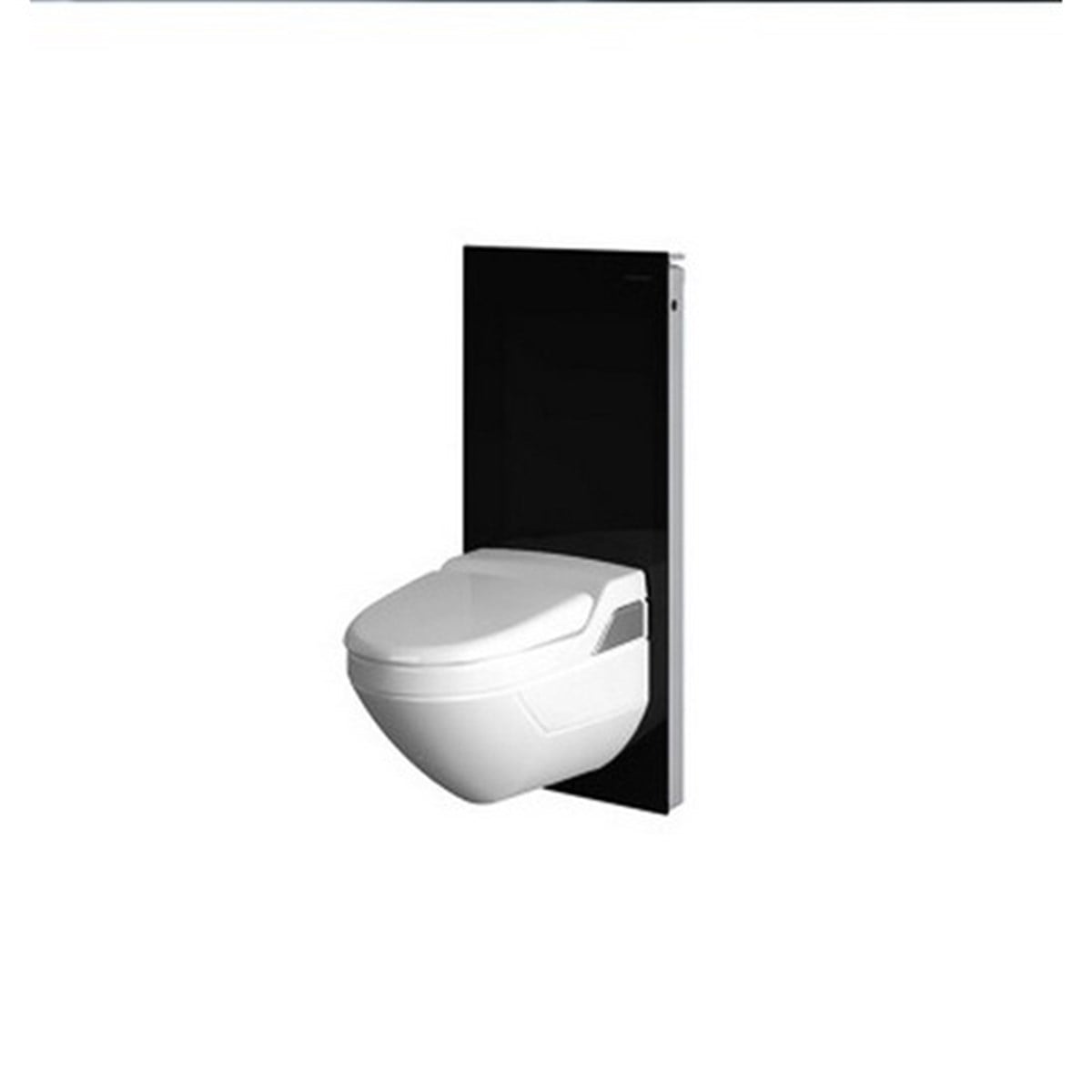 Geberit Monolith Rezervuar -Asma Klozet İçin 101cm-Siyah