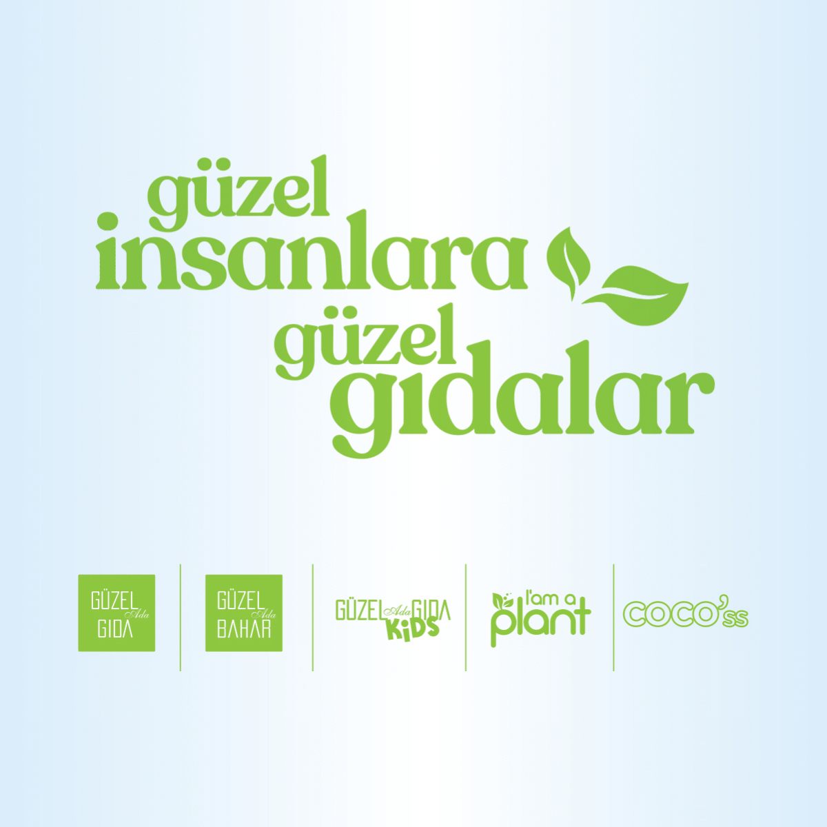 Güzel Gıda Organik Sarımsak Tozu 65 G