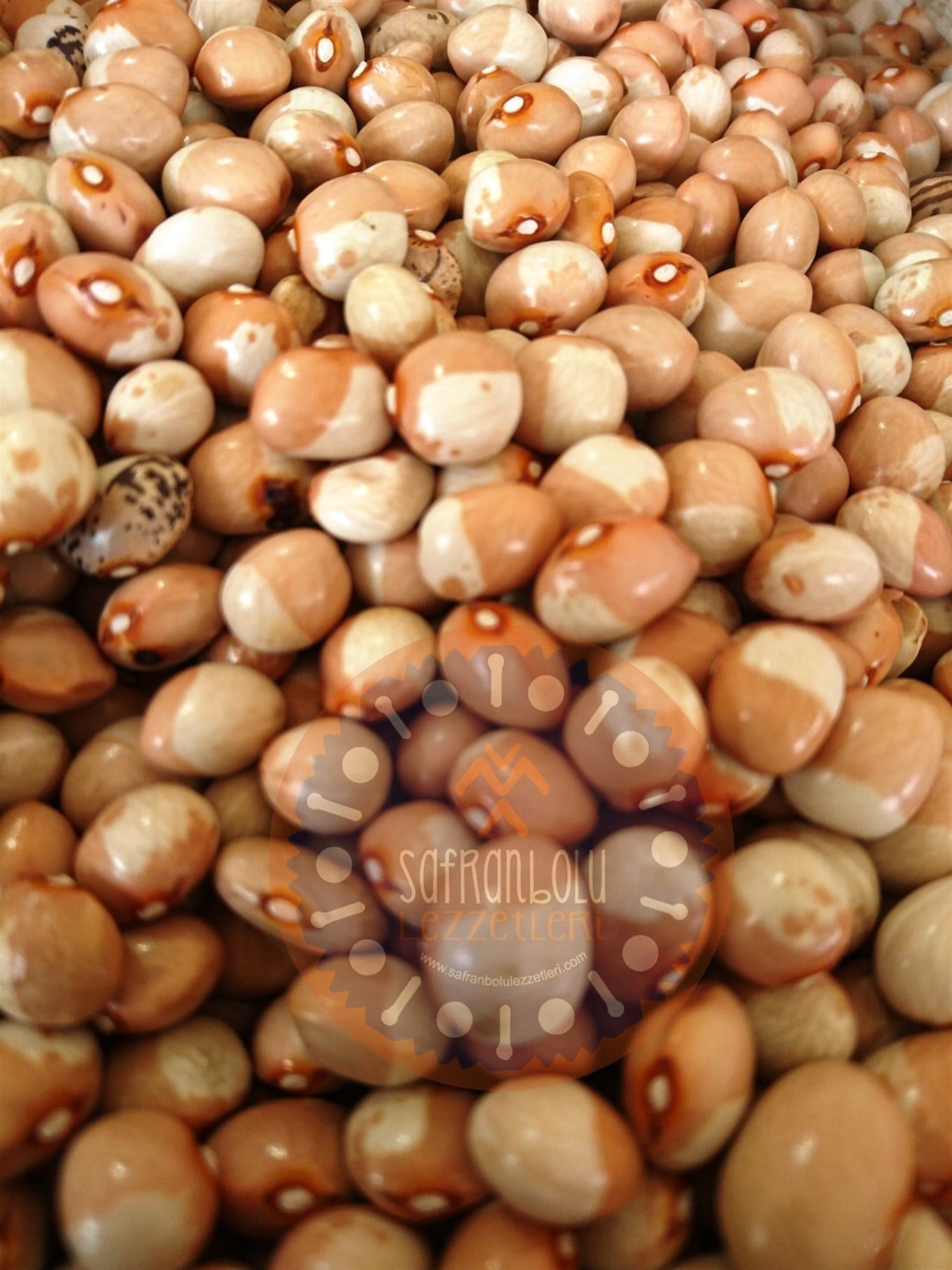 Ayşe Kadın Kuru Fasulye 1 kg