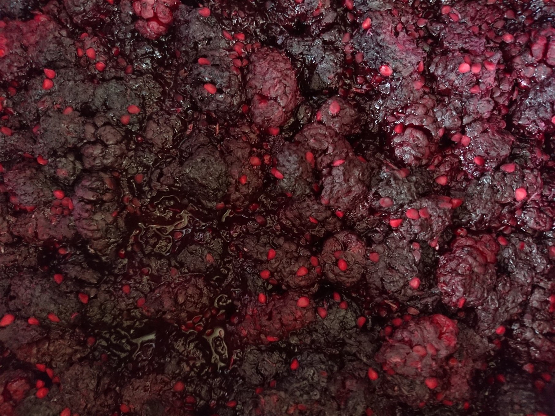Karadutlu Ev Makarnası 500 gr