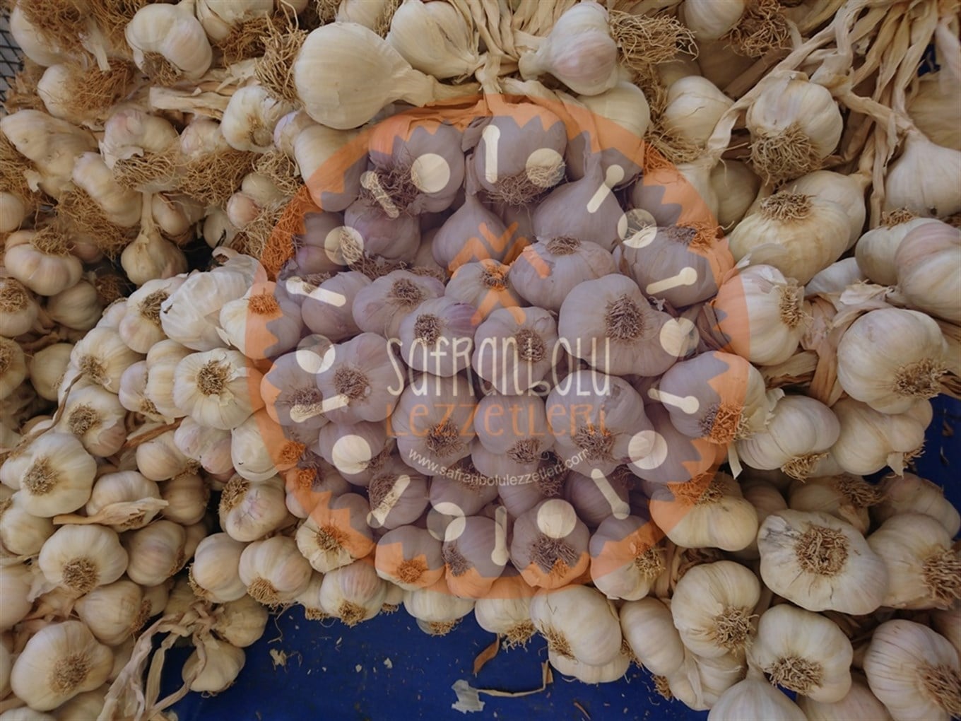 Kastamonu Taşköprü Sarımsağı (Büyük Boy Sarımsak) 500 gr