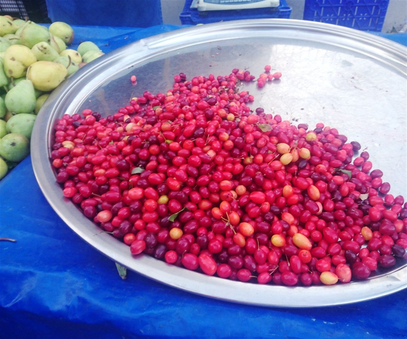 Kızılcık (Kiren) Marmelatı
