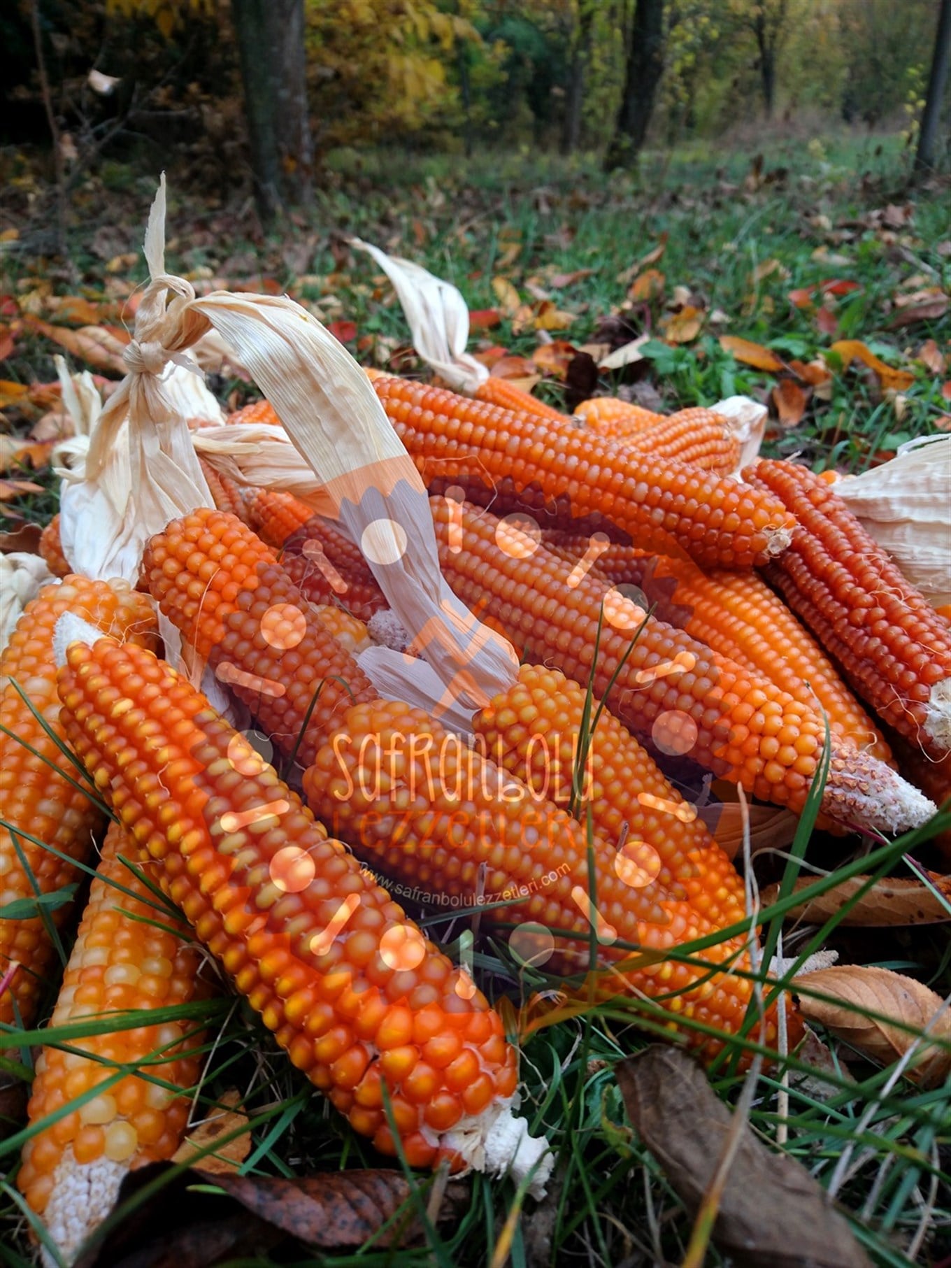 Kurutulmuş Mısır Koçanı 1 kg