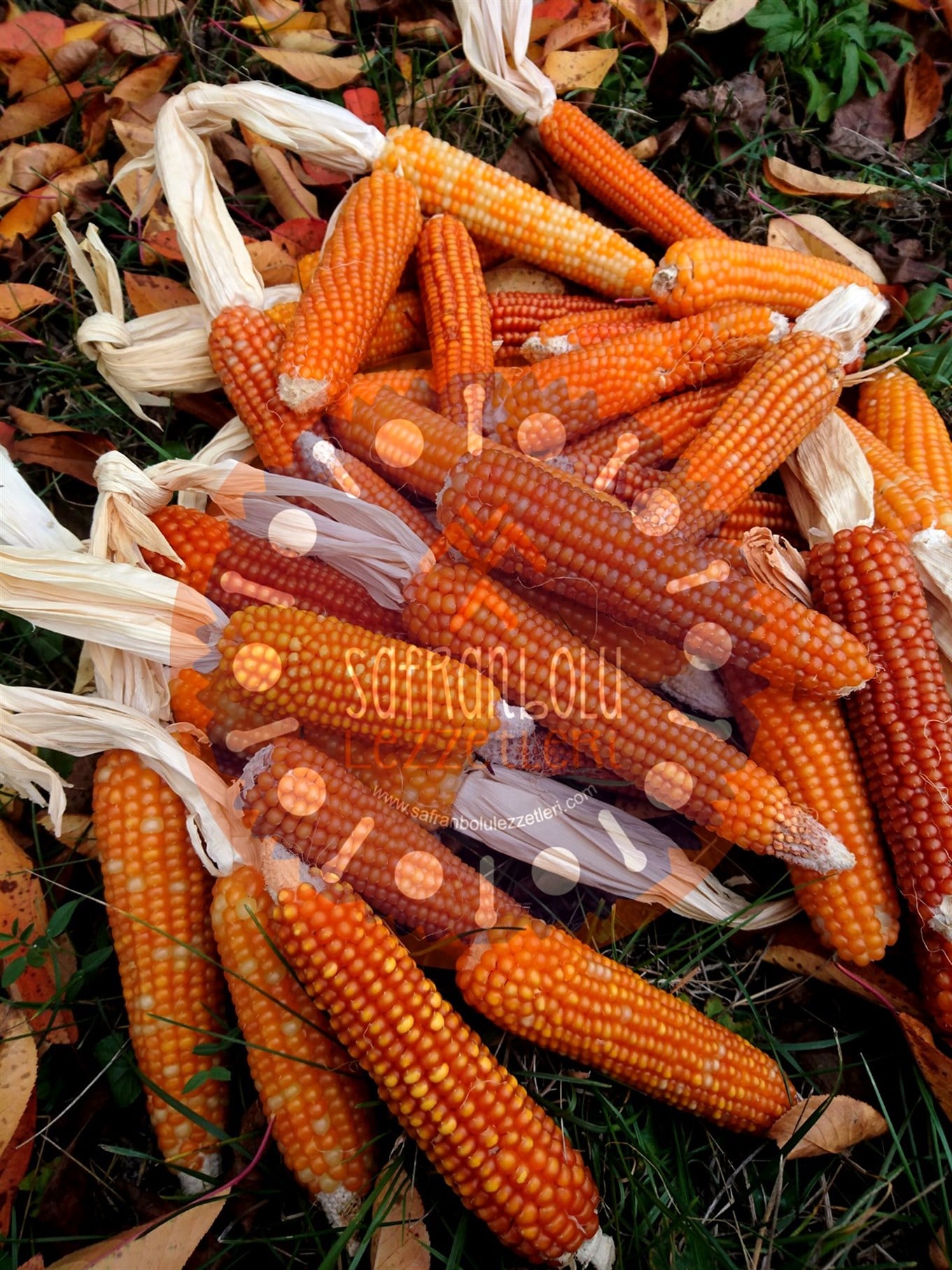 Kurutulmuş Mısır Koçanı 1 kg