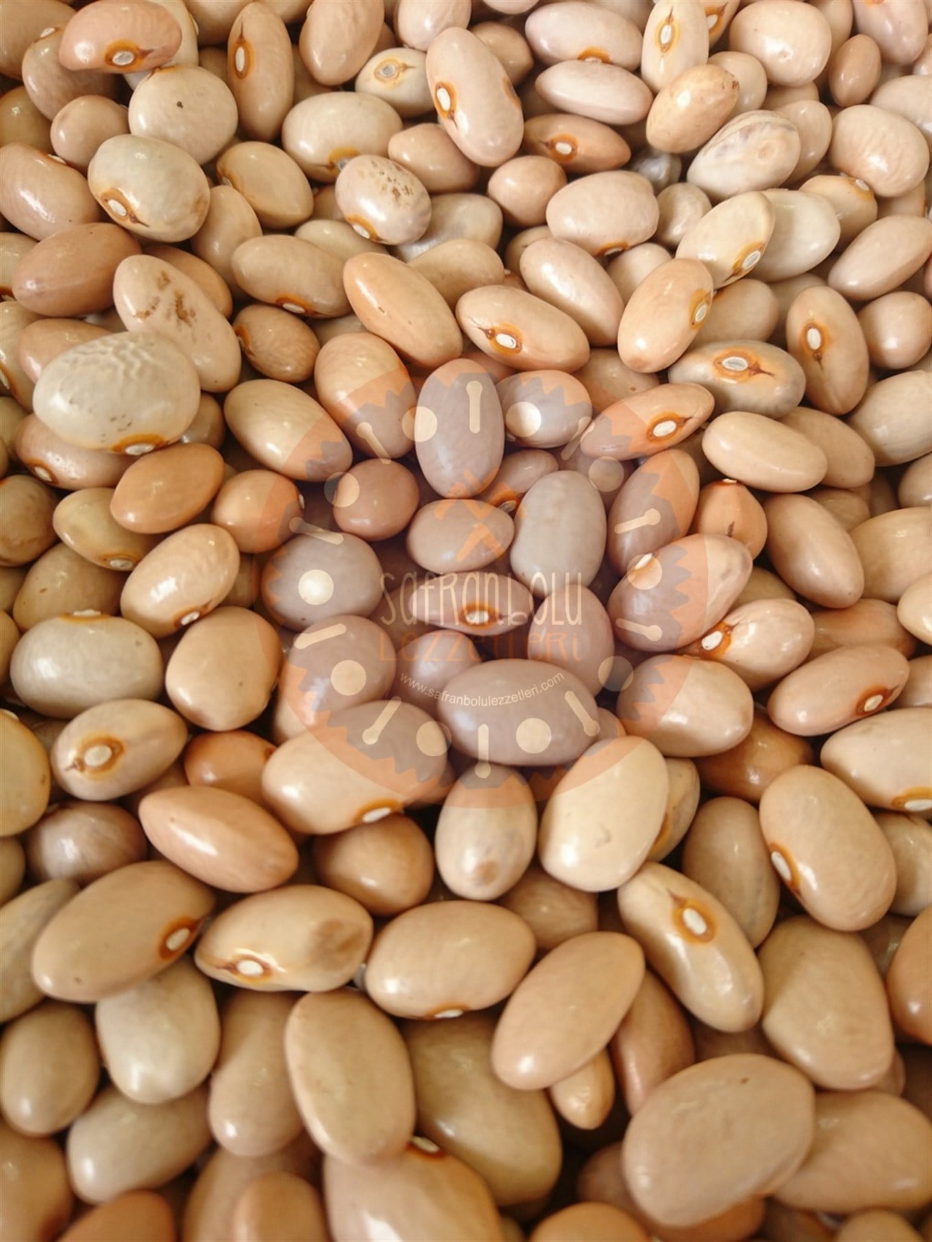 Yağlı Barbunya 1 kg