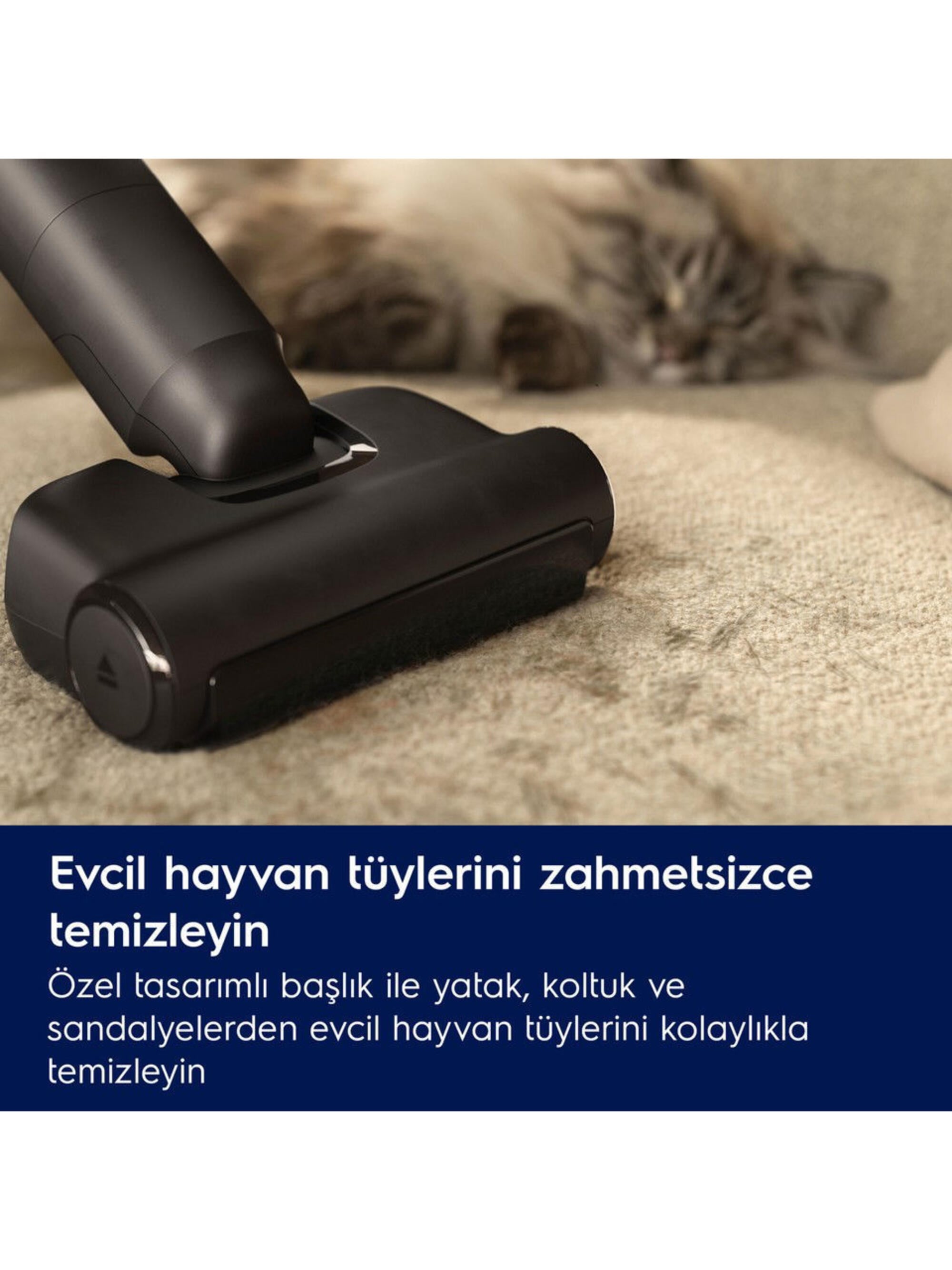 Electrolux EP82AB25UG Şarjlı Dikey Süpürge