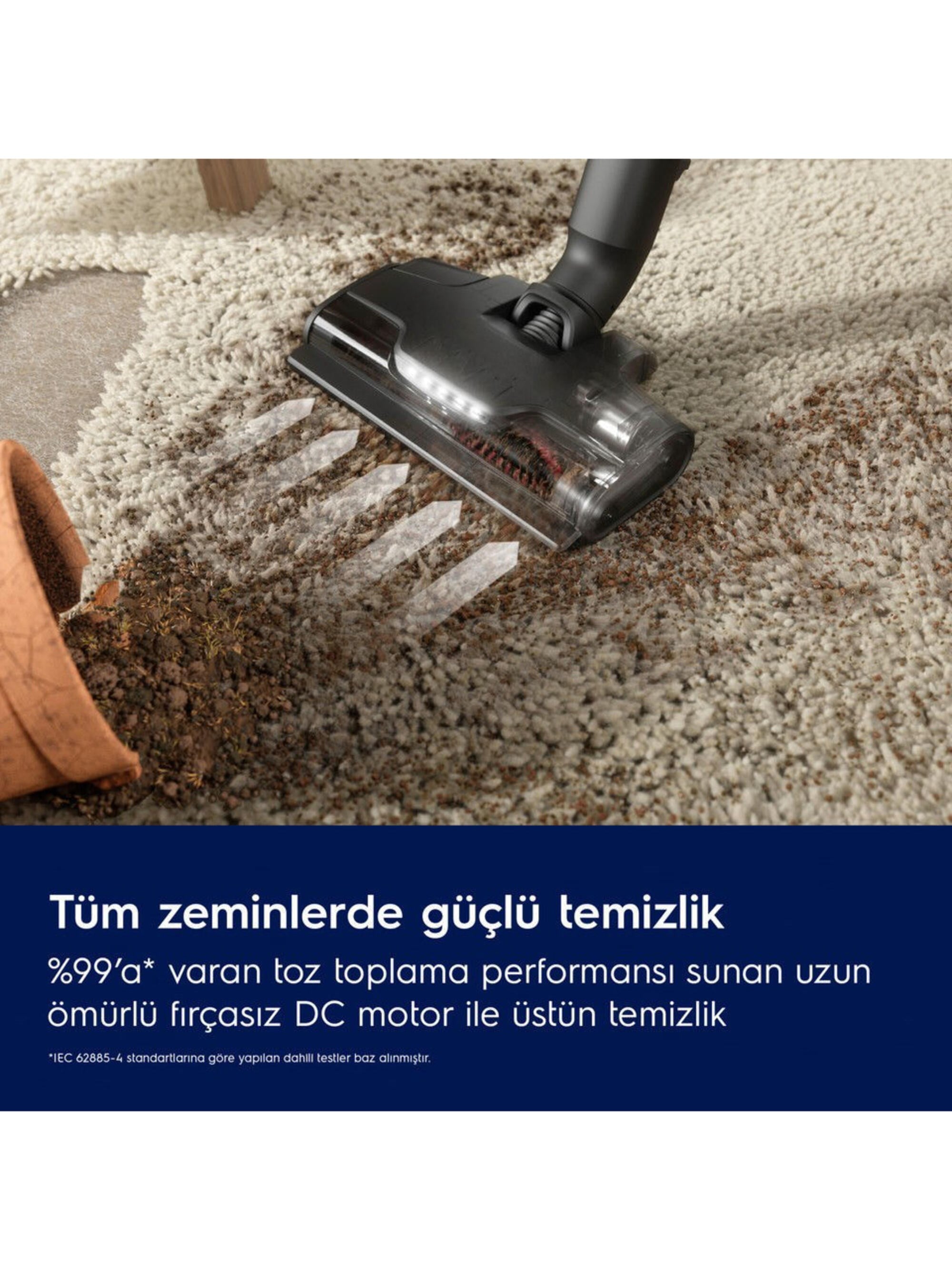 Electrolux EP82AB25UG Şarjlı Dikey Süpürge