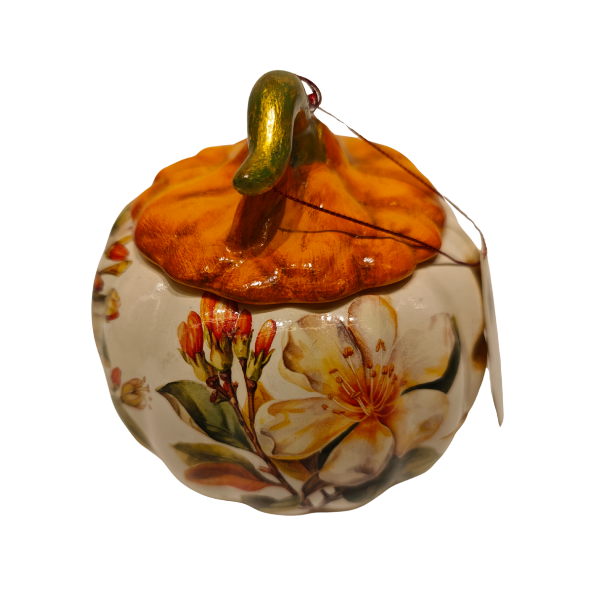 Senneistersen kapaklı asık surat kabak 