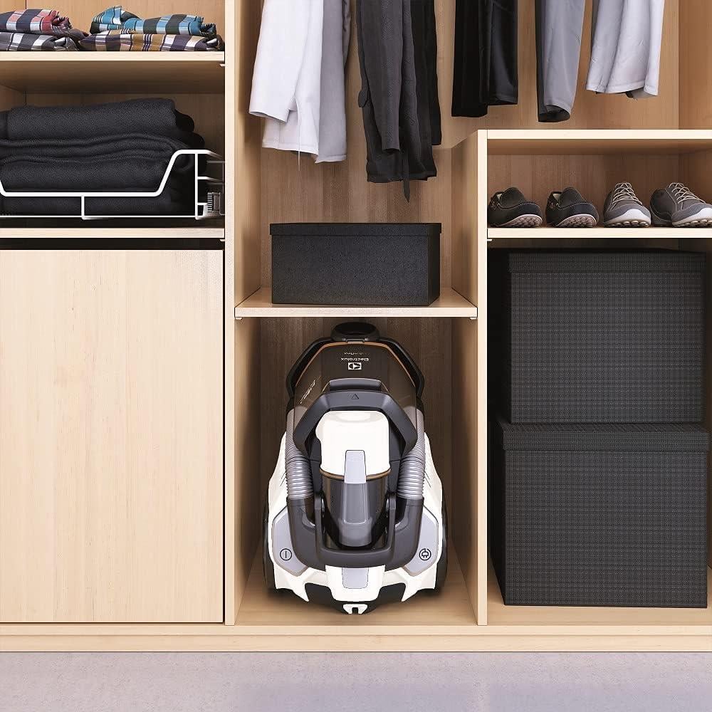 Electrolux EUFC8ALRGY Ultra Flex Torbasız Süpürge 