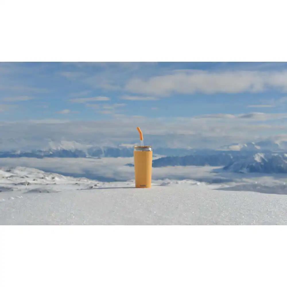 Sigg 6015.50 Helia 0,60LT Çelik Termos, Somon