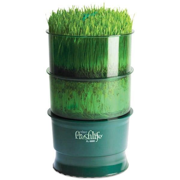 Tribest - Freshlife Otomatik Sulamalı Filizlendirici - FL-3000-C