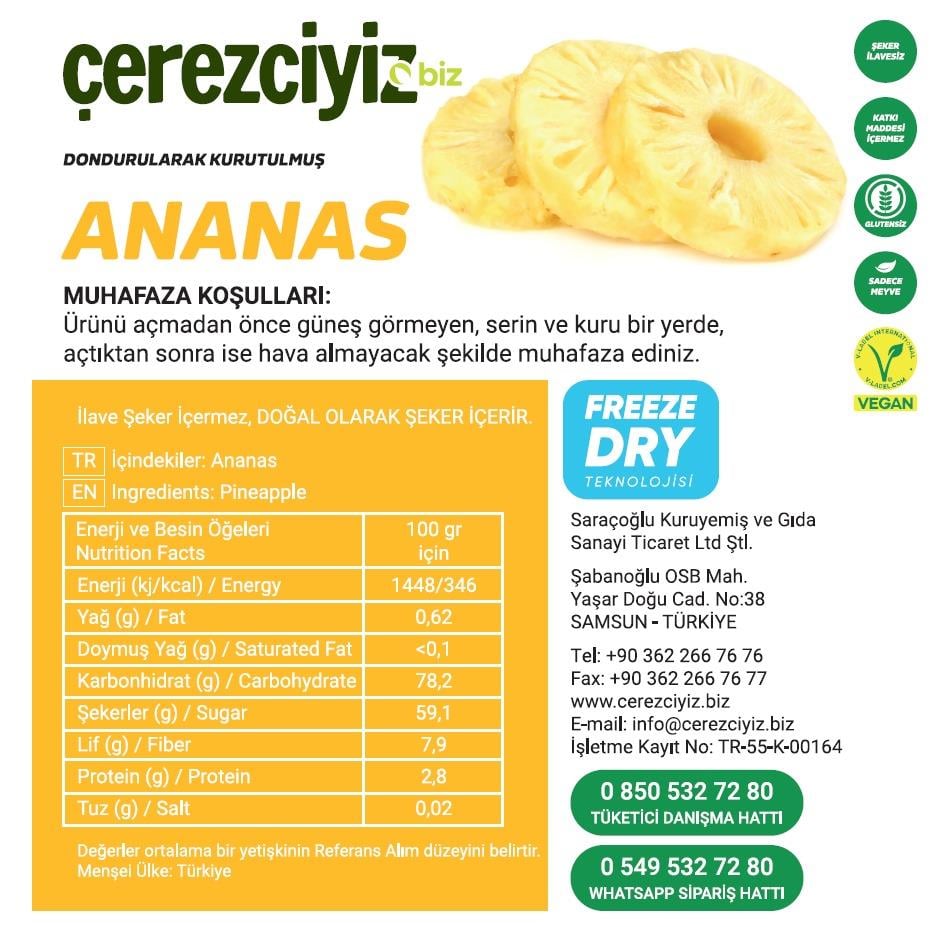 30gr. Dondurularak Kurutulmuş Ananas (Freeze Dried)