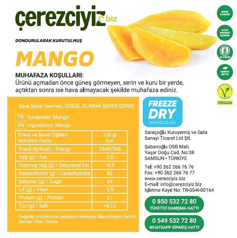 30gr. Dondurularak Kurutulmuş Mango (Freeze Dried)