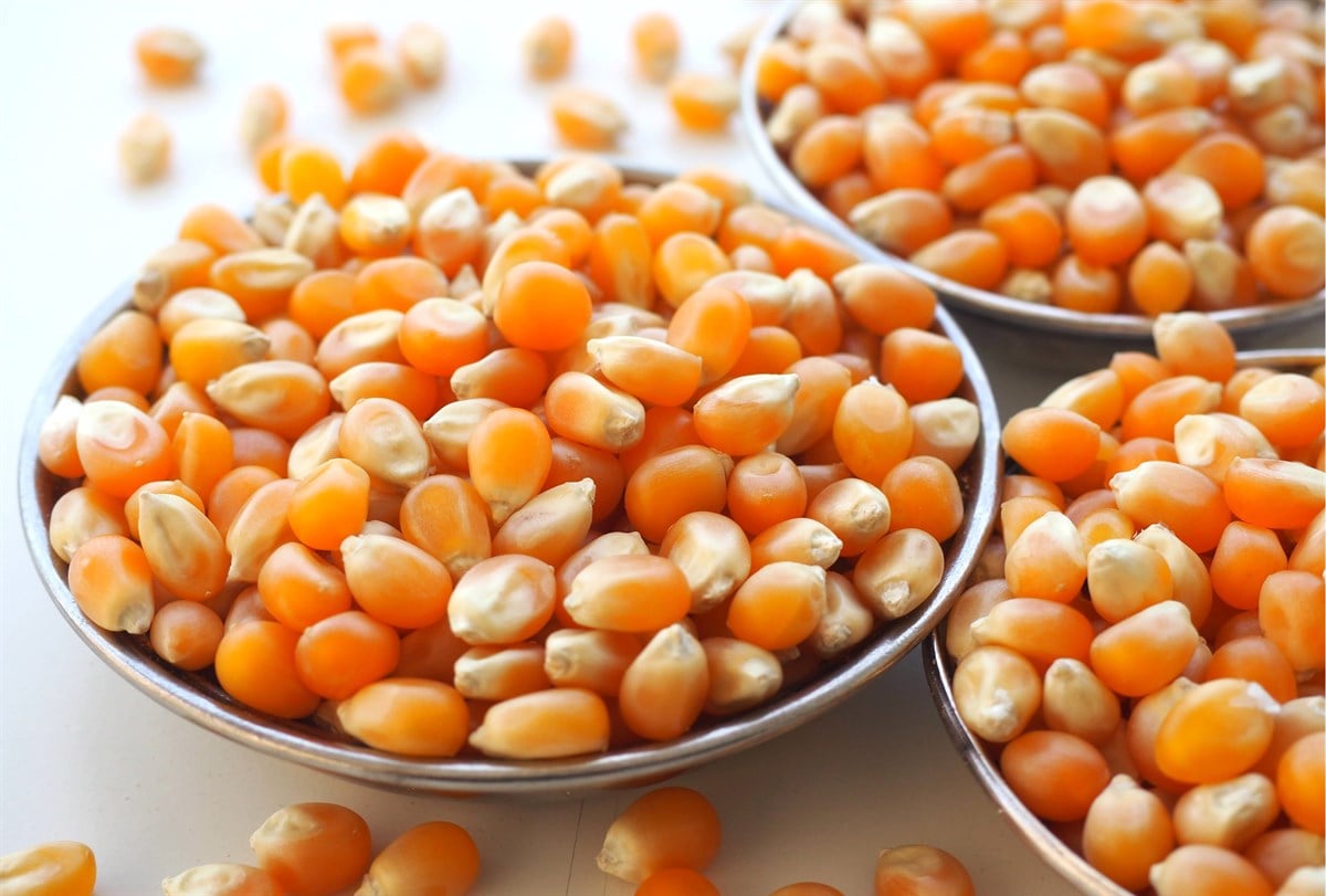 Patlayan Cin Mısır (Pop Corn) (Kg)
