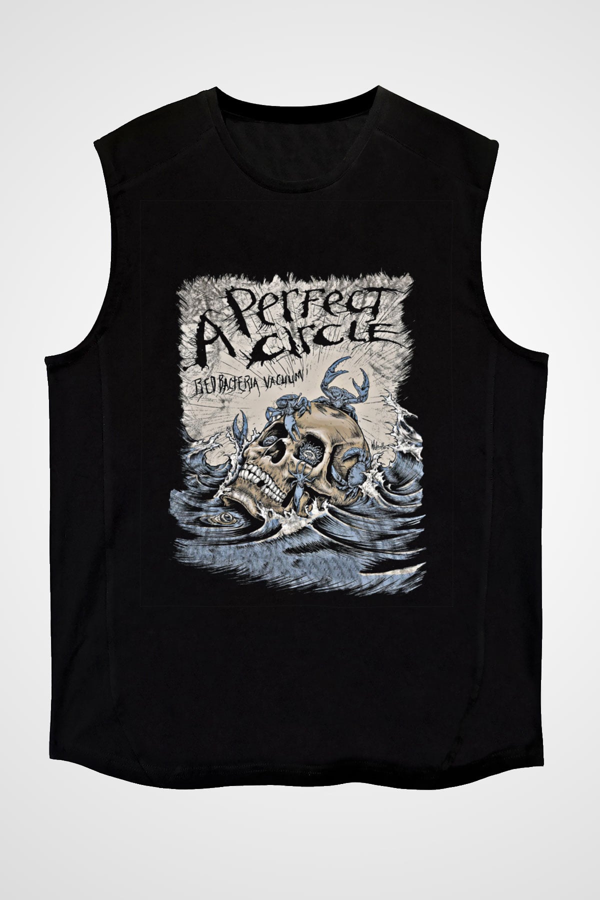 A Perfect Circle Baskılı Unisex Siyah Kolsuz Tişört